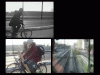 Car-free Germany?